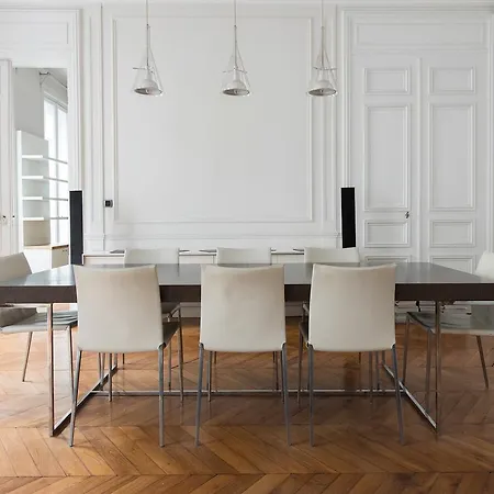 Luxury Design Champs Elysees Flat 巴黎